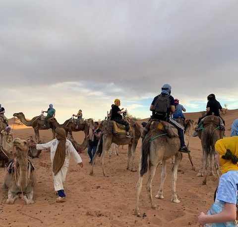 HHS French department on the 2022 Morocco trip riding camels through the Sahara desert, an example of the unique activities students get to experience in on these trips.