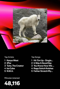 Staffer Matthew Wang's Spotify Wrap of 2024