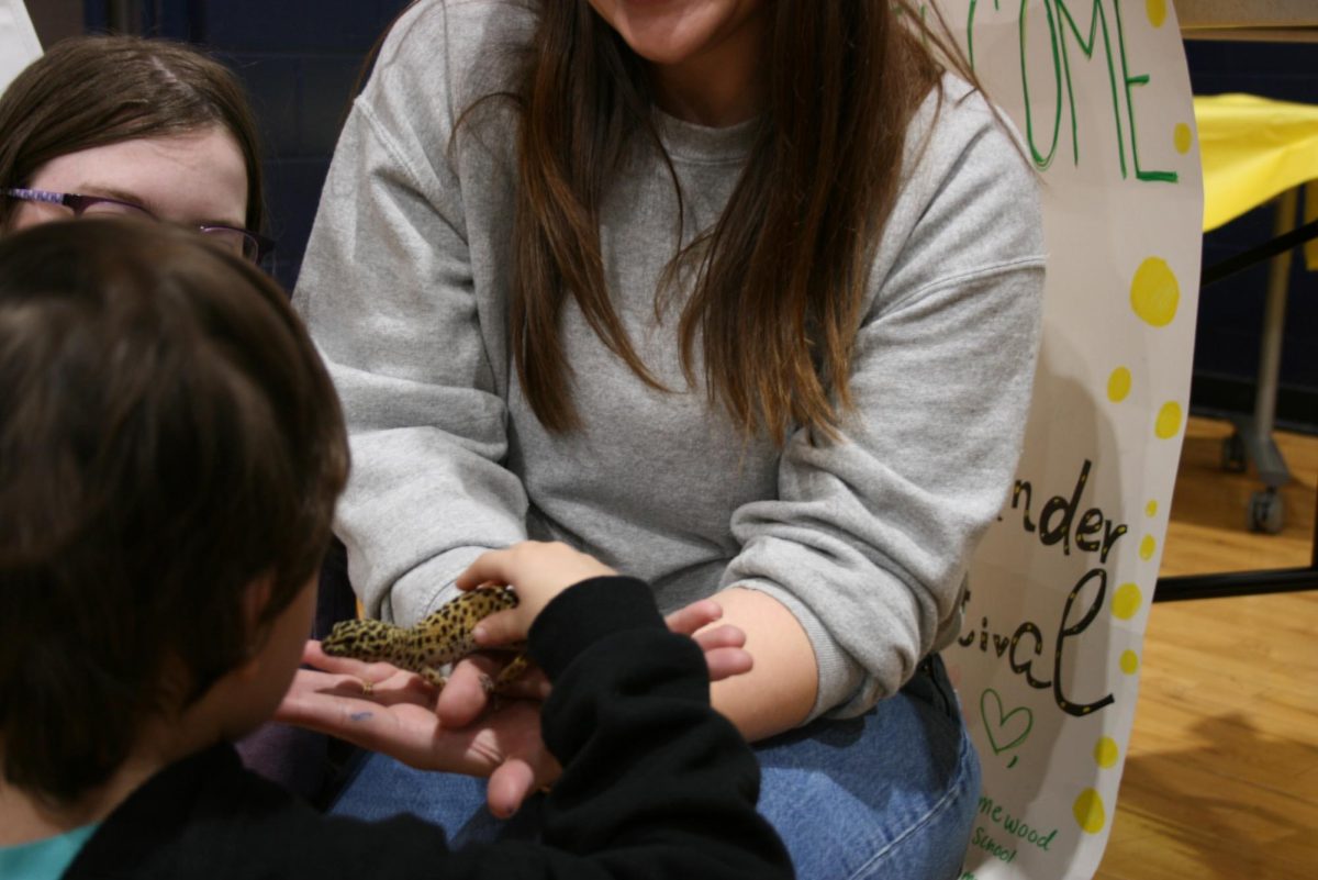 Lillian Walker, HHS Zoology and Marine Science teacher holds out an Eublepharidae gecko for kids to pet.