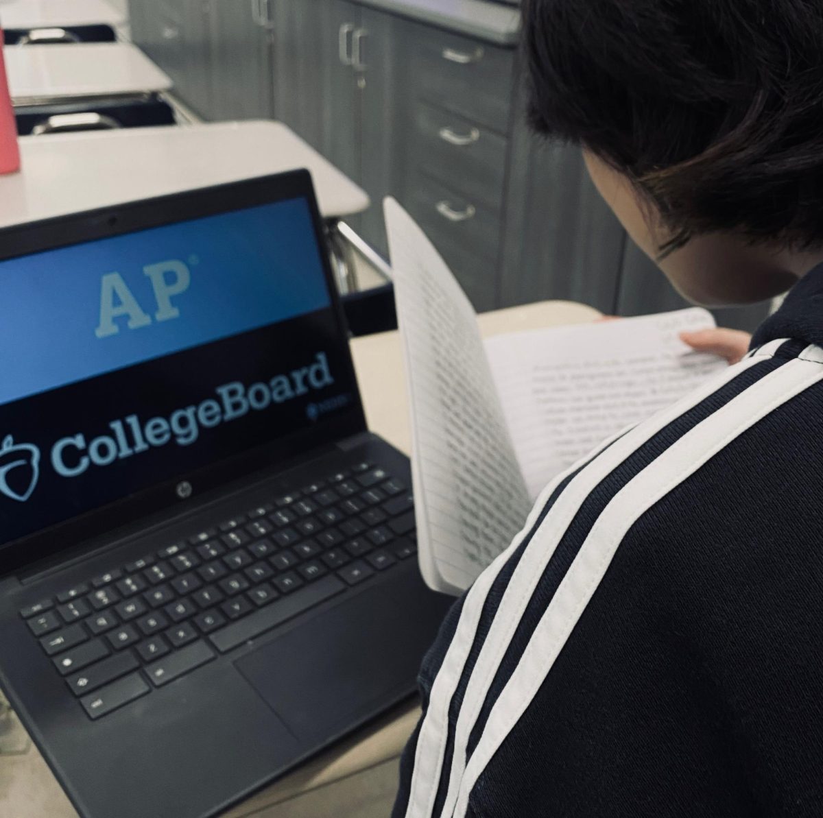 Seniors dispense AP testing advice